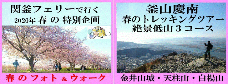 新しいバナーヴィーナストラベル