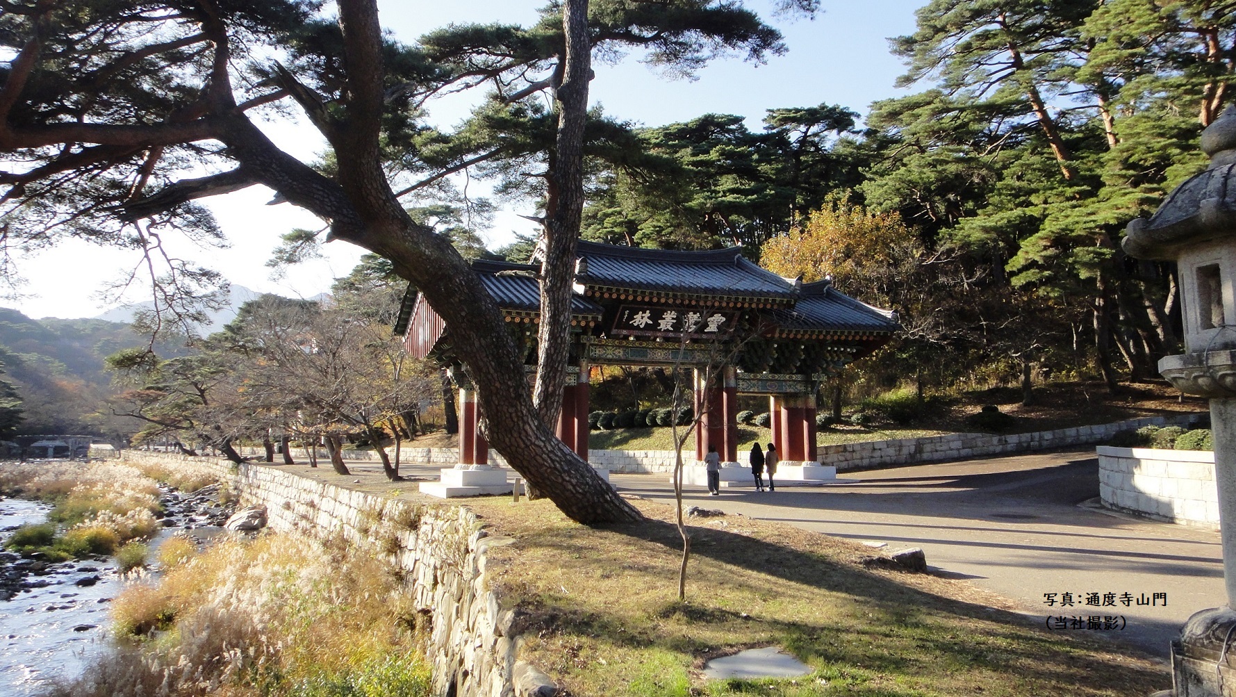 盤亀台・通度寺フォト＆ウォーク