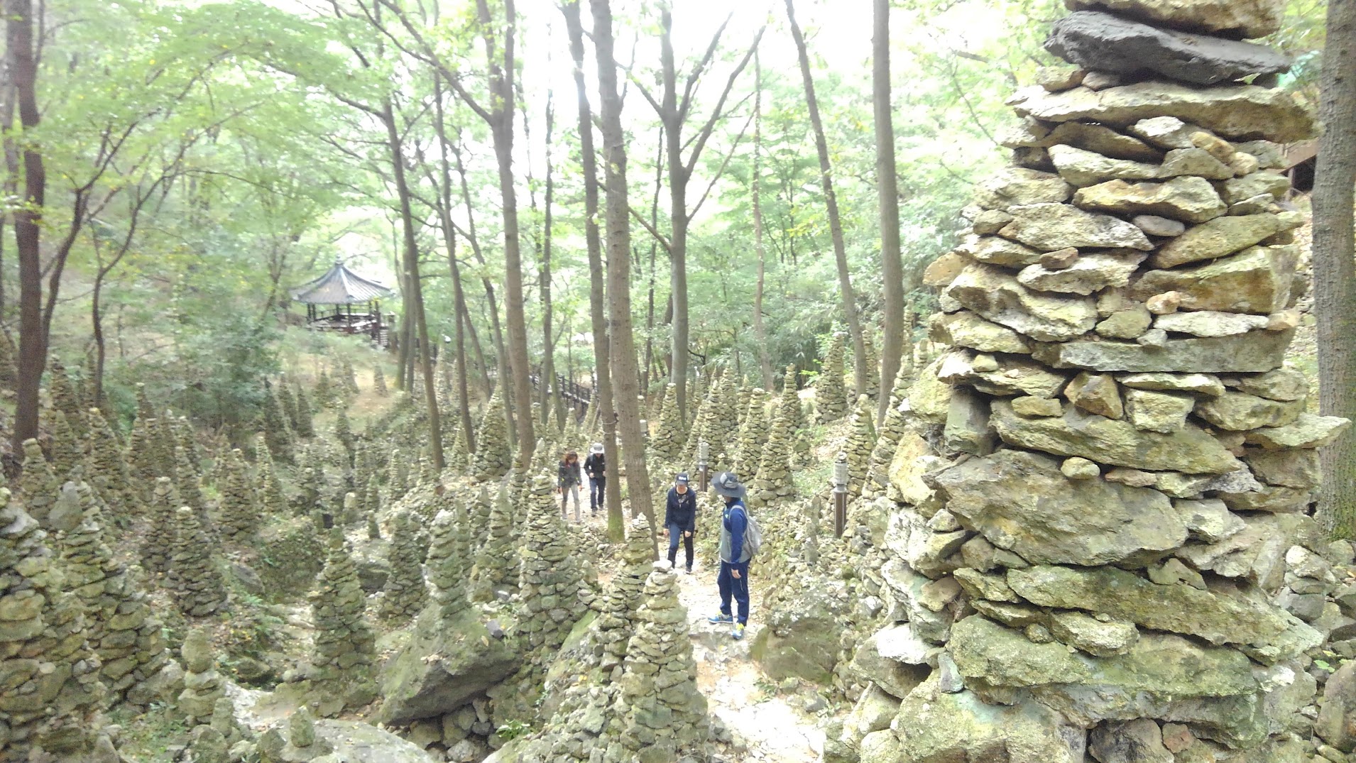 関釜フェリー 韓国トレッキングツアー 