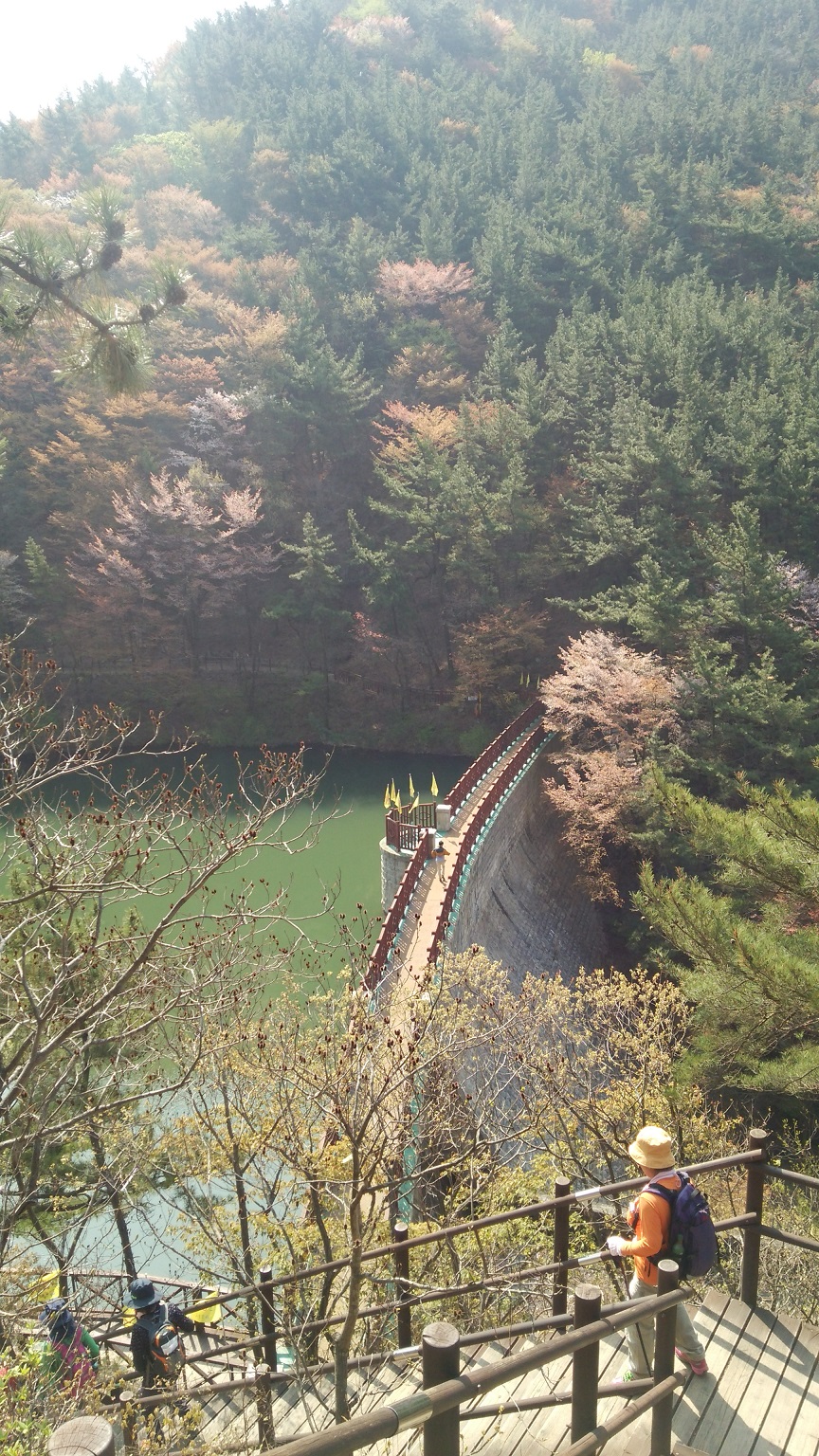 関釜フェリー 韓国トレッキングツアー