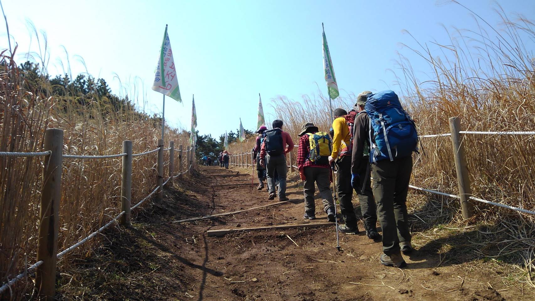 関釜フェリー 韓国トレッキングツアー