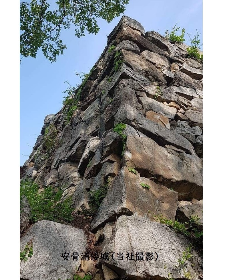 関釜フェリー 倭城ツアー 