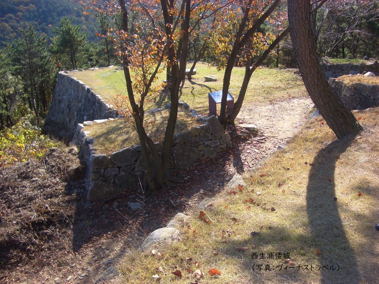 関釜フェリー 倭城ツアー 