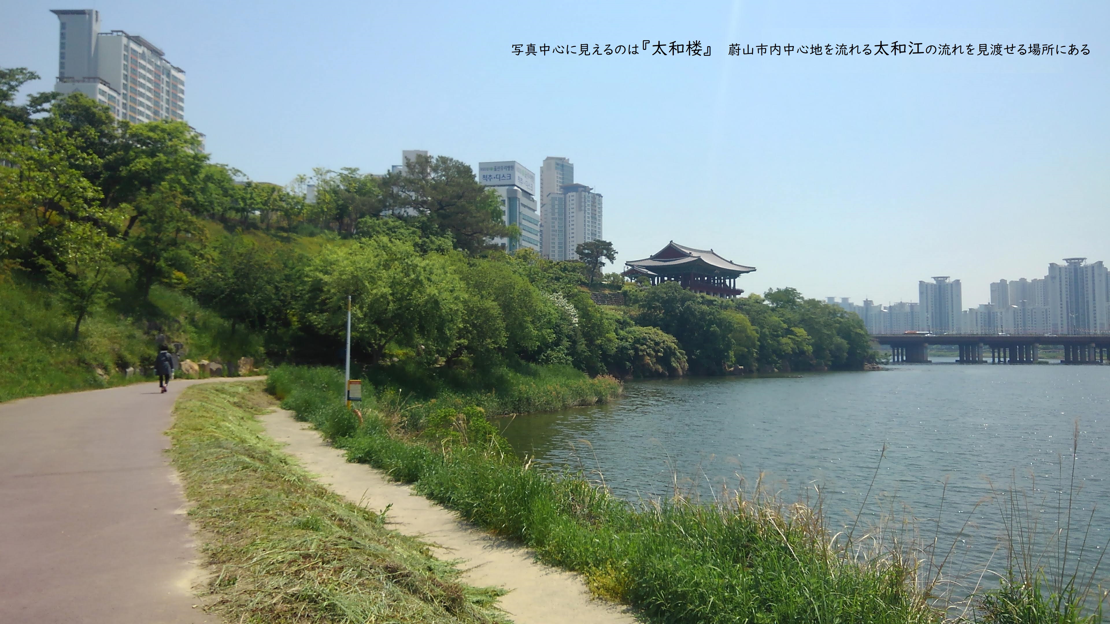 関釜フェリー 倭城ツアー 