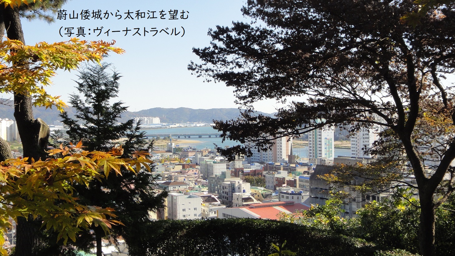 関釜フェリー 倭城ツアー 